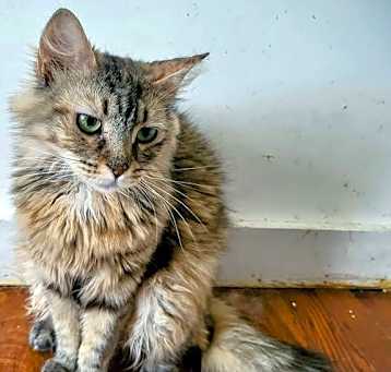 Photo of Faye