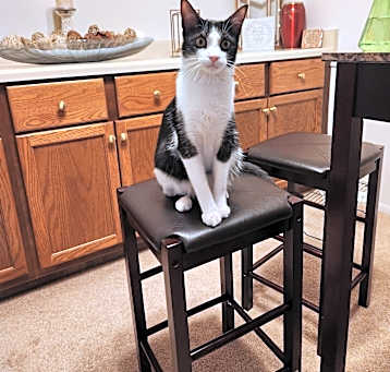 Photo of Oliver