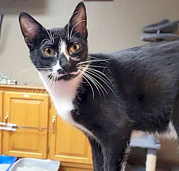 Photo of Ruthie