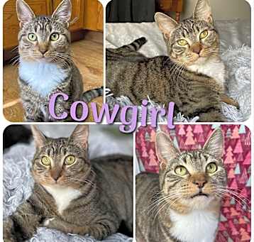 Photo of Cowgirl