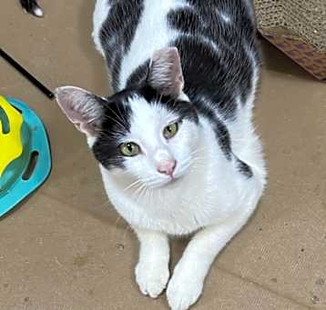 Photo of Oliver