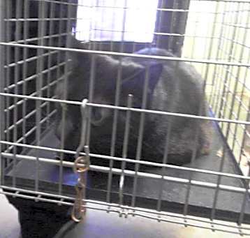 Photo of HERA