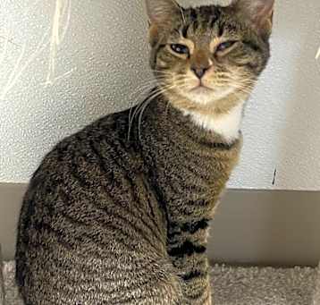 Photo of Sandy