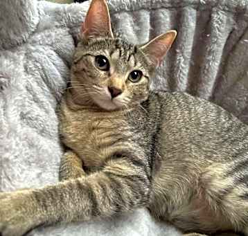 Photo of Effie