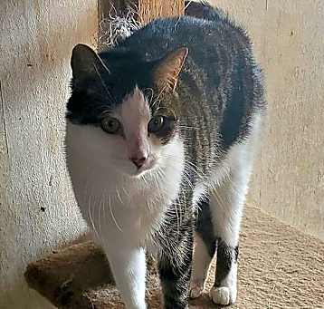 Photo of Monsieur