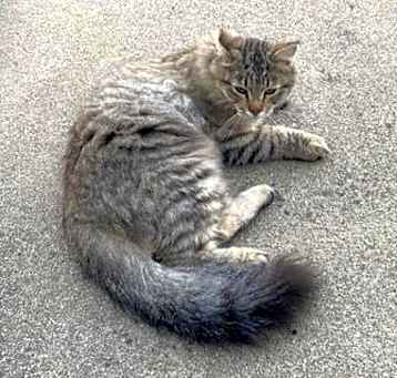 Photo of BABY