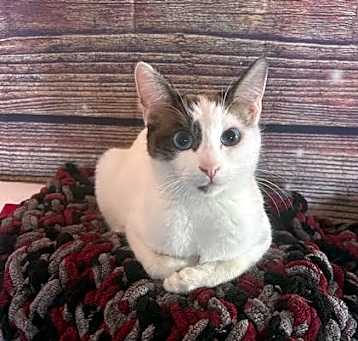 Photo of Bonnie
