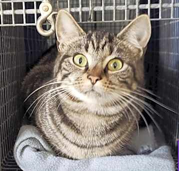 Photo of Sally Mae