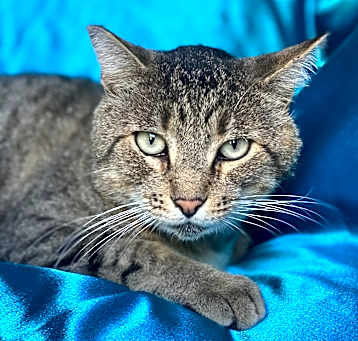 Photo of BOYO