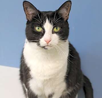 Photo of Spunky