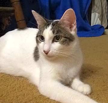 Photo of Lil Girl