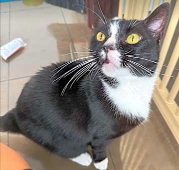 Photo of Salem