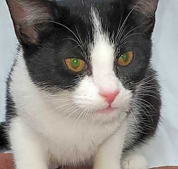 Photo of Jessie