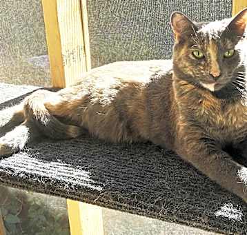 Photo of NALA