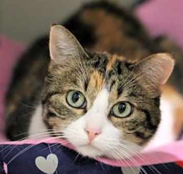 Photo of Maggie