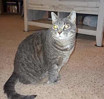Photo of Marge