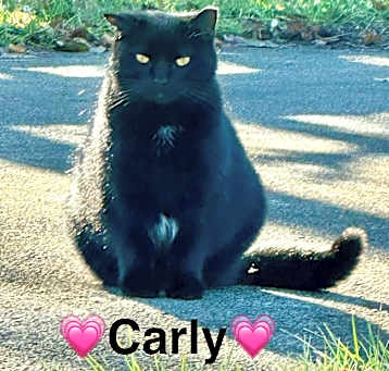 Photo of Carly