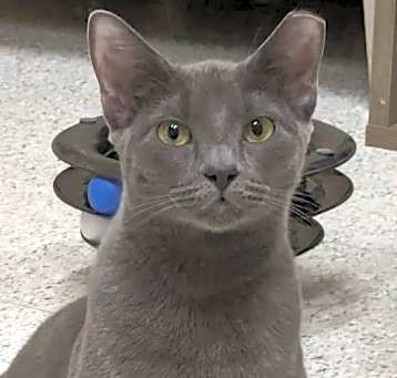 Photo of Ragu