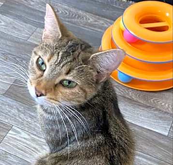 Photo of Hazel
