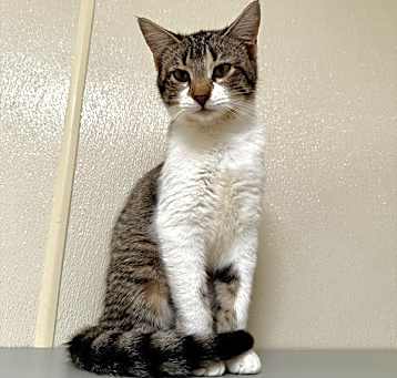 Photo of Sprite