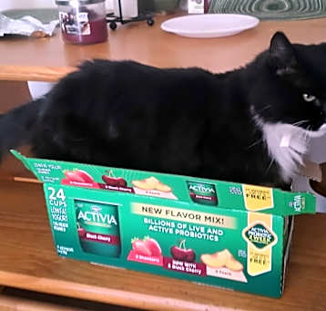 Photo of Boots