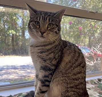 Photo of Shae