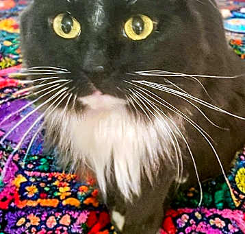 Photo of Mimi