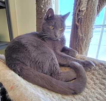 Photo of Gino