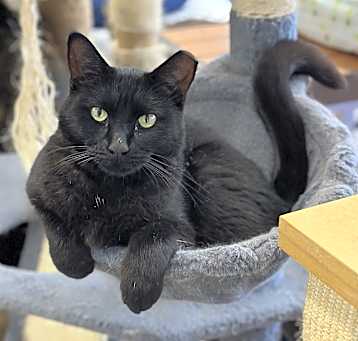 Photo of Luna