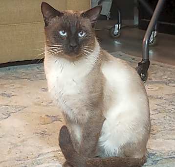 Photo of Jack