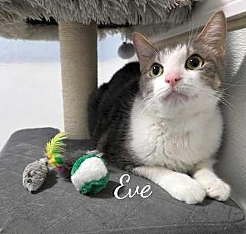 Photo of Evan