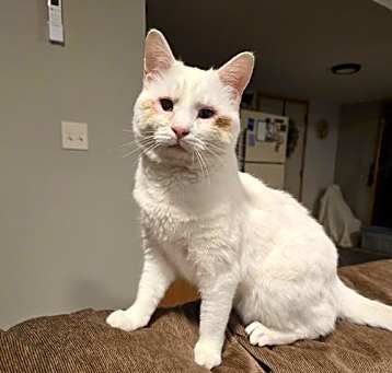 Photo of COURTESY- Casper