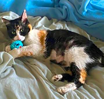 Photo of Caramel