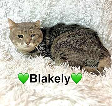 Photo of Blakely
