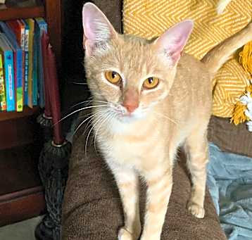 Photo of Belle