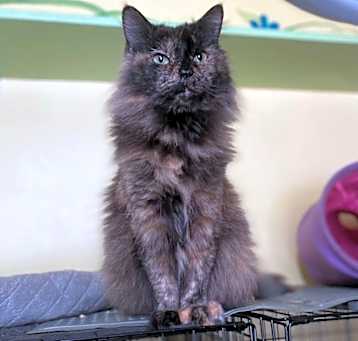 Photo of Jenny
