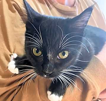 Photo of Zipper
