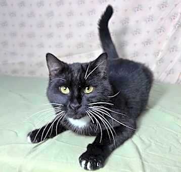 Photo of *BARNABY