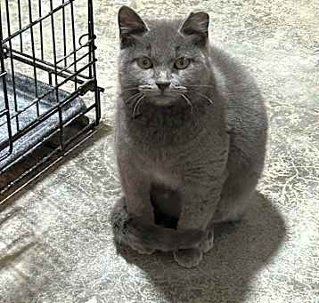 Photo of Sterling