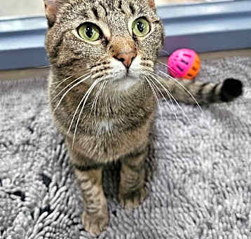 Photo of Missy