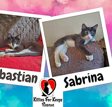 Photo of Sebastian and Sabrina (Bonded)