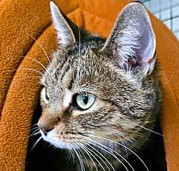 Photo of Lola
