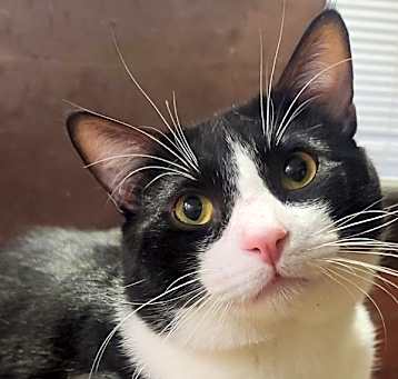 Photo of Kevin