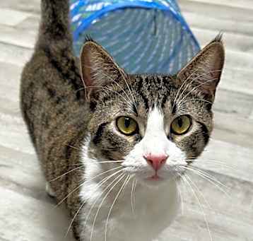 Photo of Junior