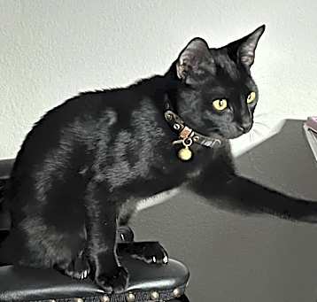 Photo of Billy BOBtail Thornton