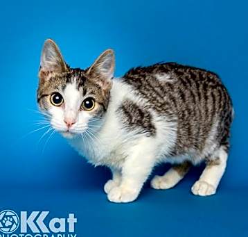 Photo of Rocket