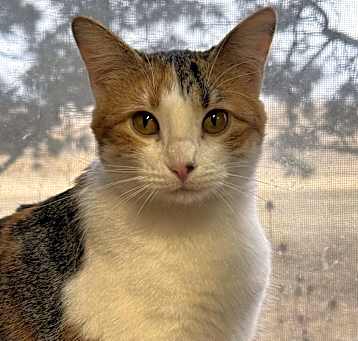 Photo of Ursula