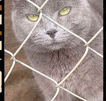 Photo of MONA