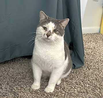 Photo of Pudge