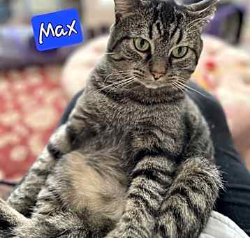 Photo of Max
